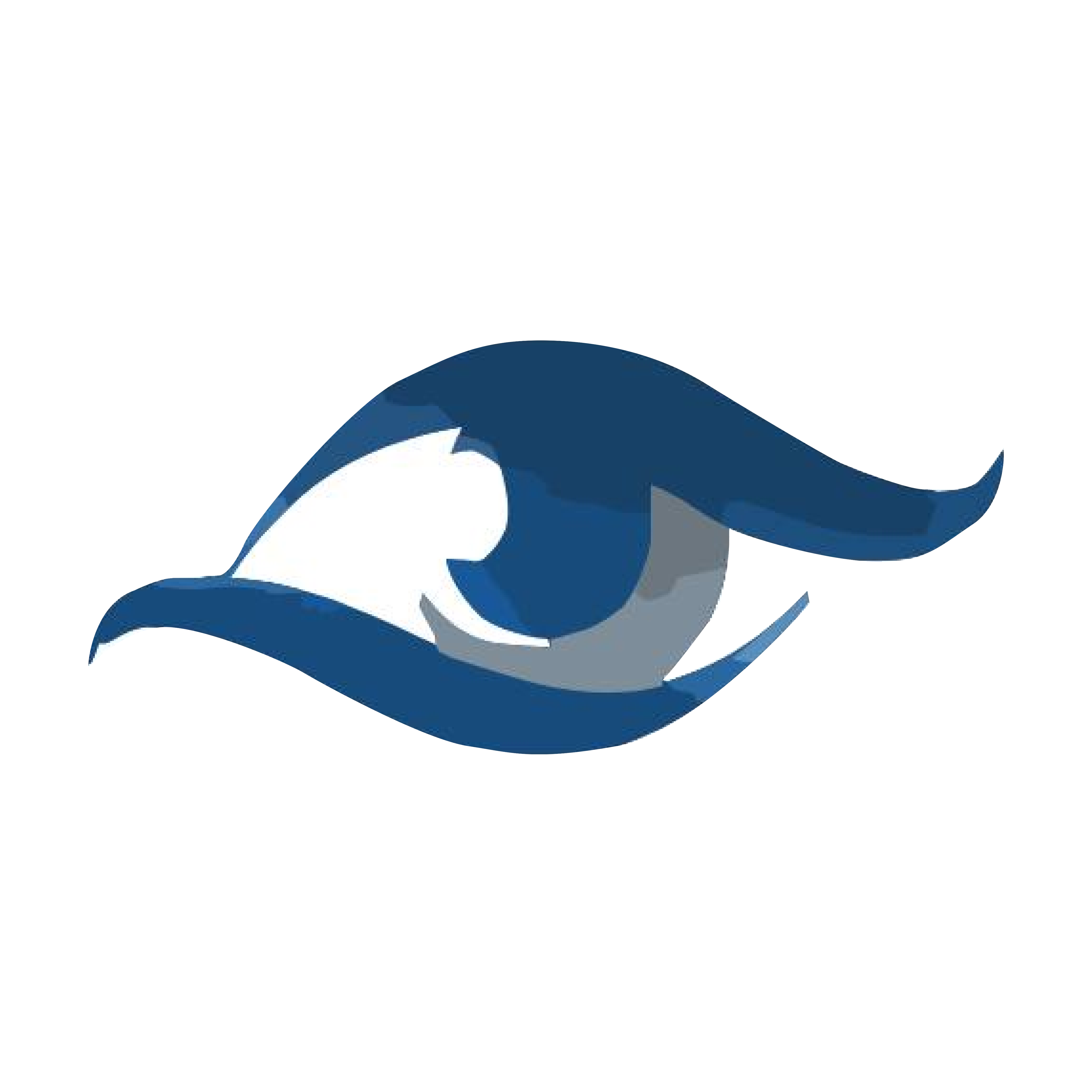 Shivas Eye Care Logo